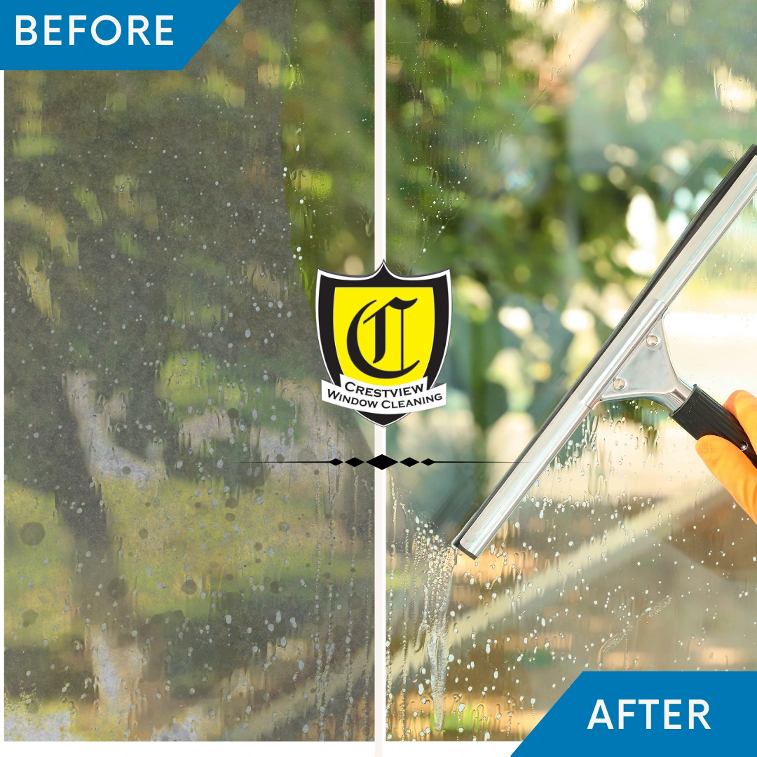 Christmas light installations offer