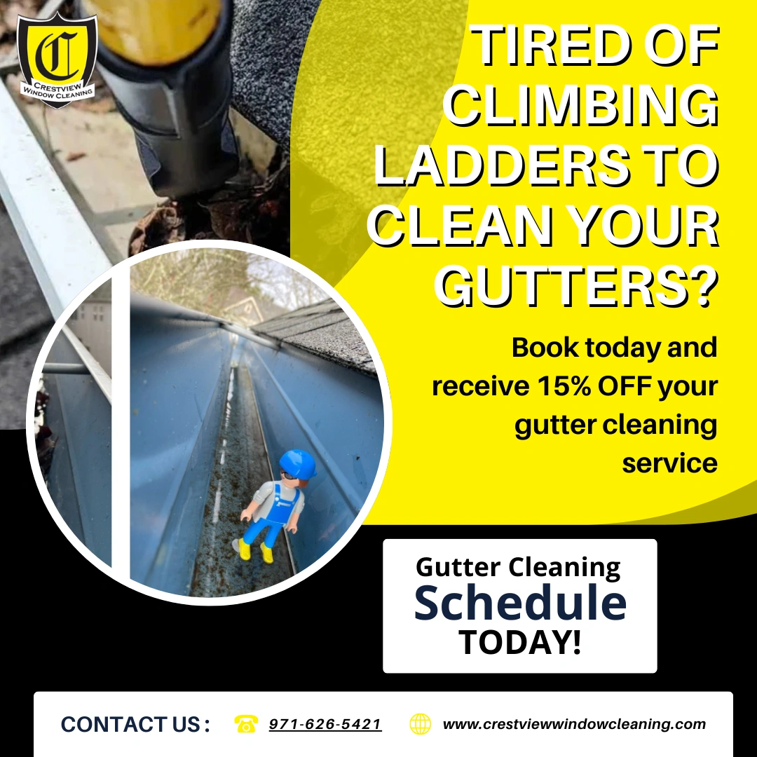 Christmas light installations offer