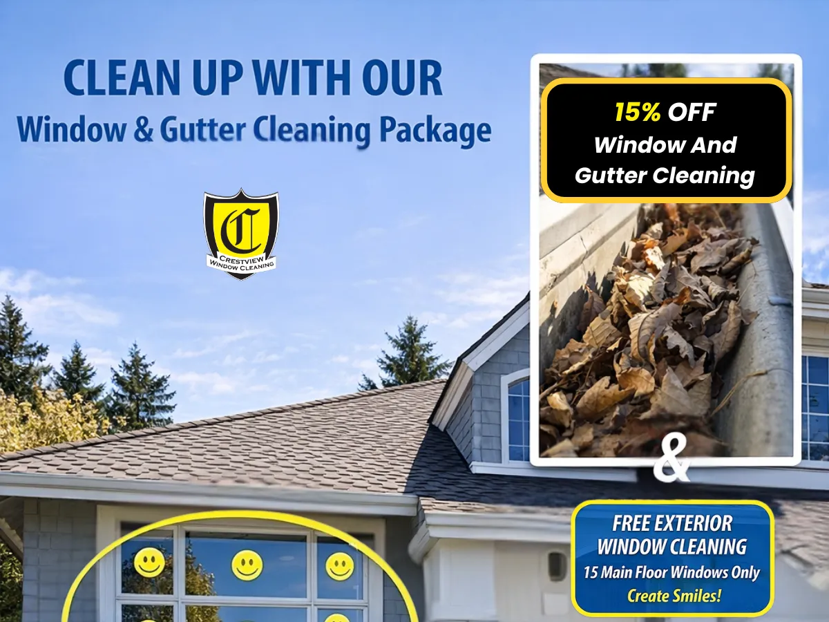 Christmas light installations offer